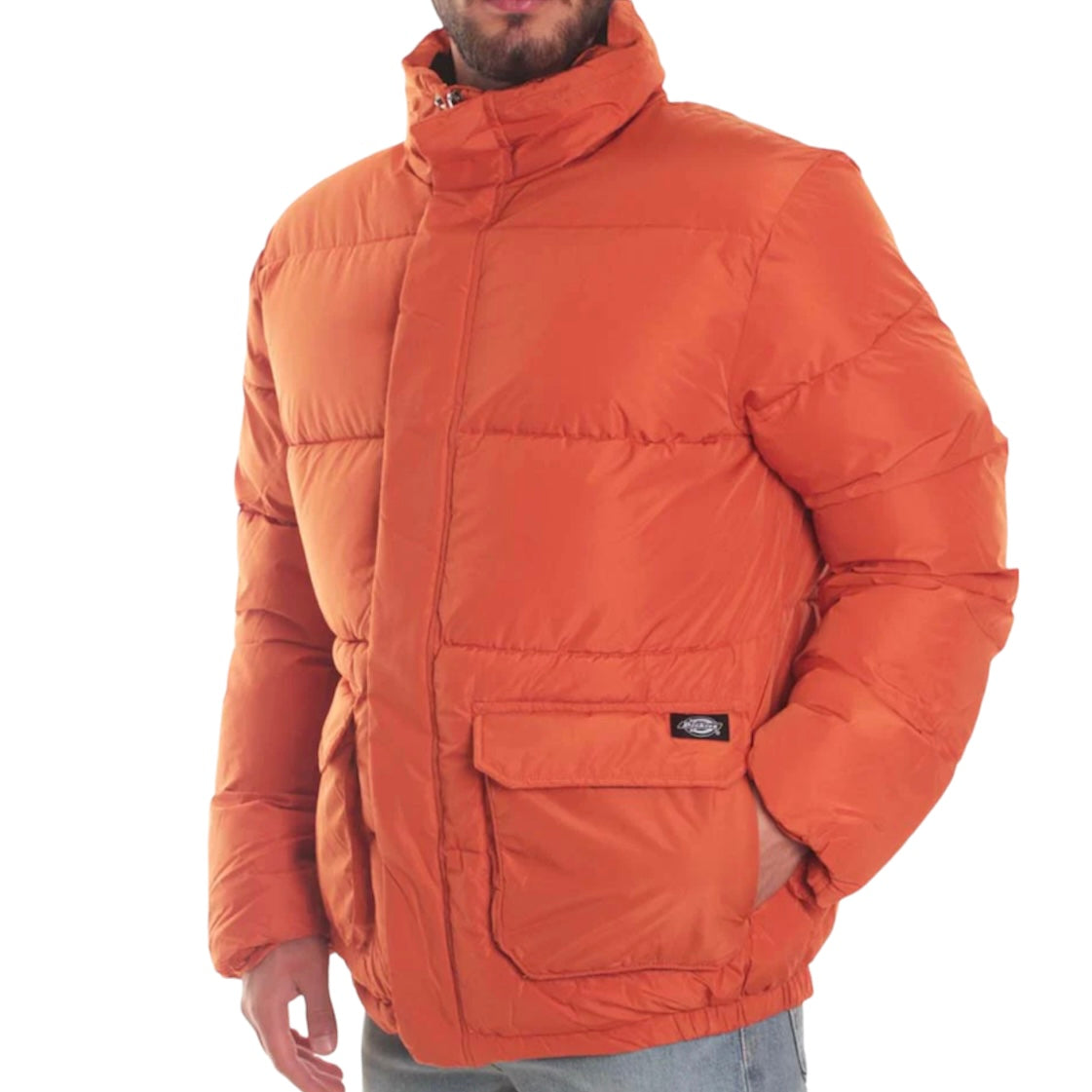 Dickies giacca Olaton — archivio moda — IlBotteghino