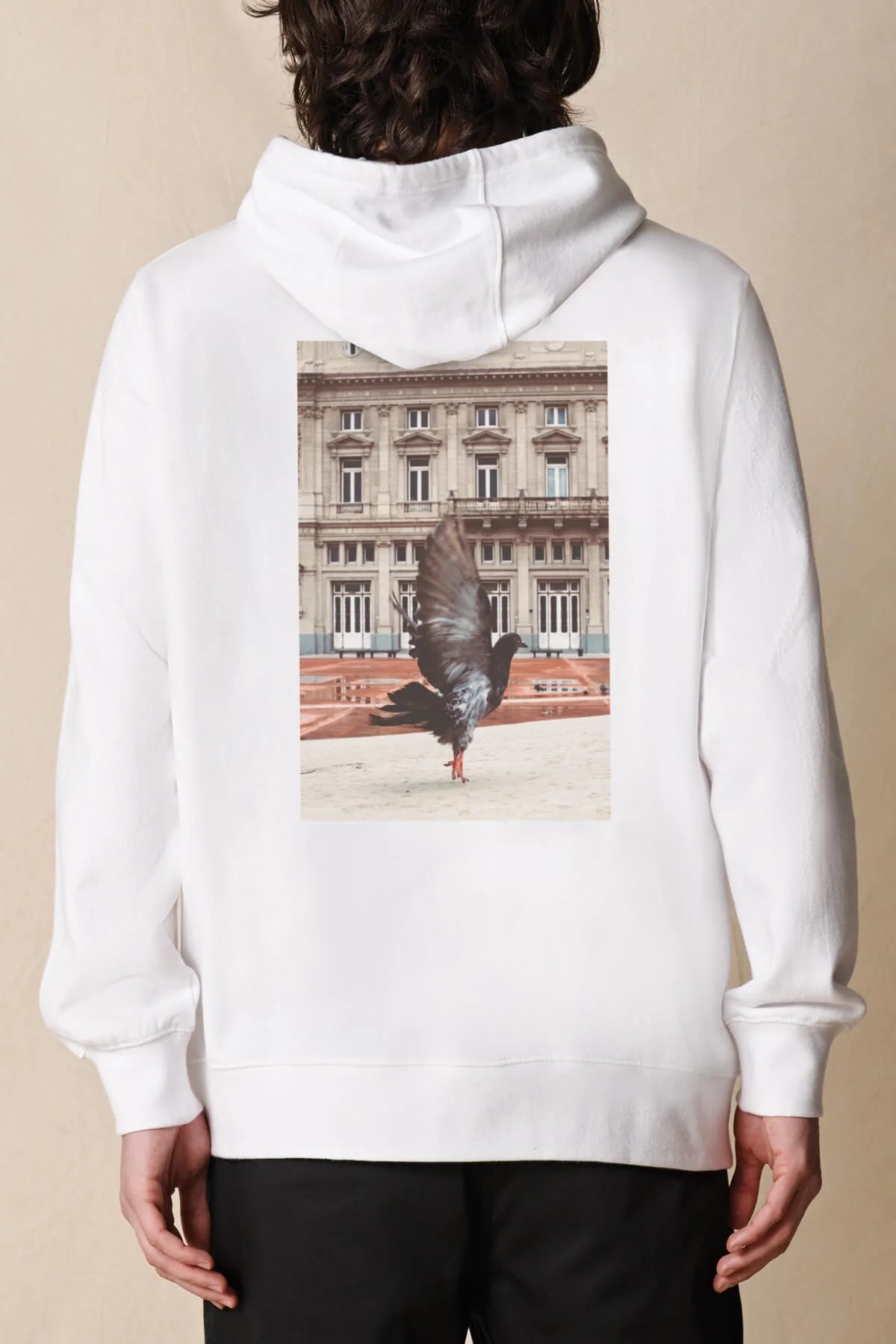 Globe felpa Buenos Aires — archivio streetwear — IlBotteghino