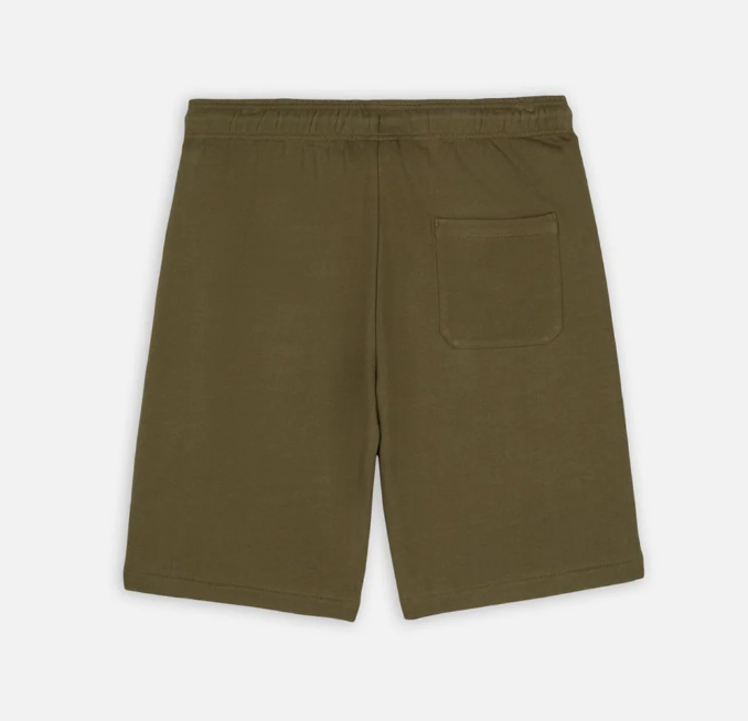 Dickies short Mapleton verde oliva — streetwear d'archivio — IlBotteghino