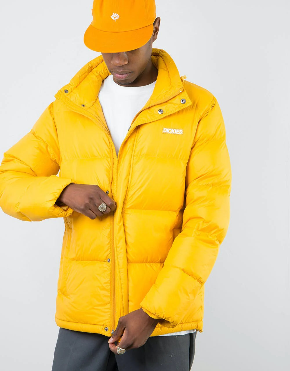 Dickies piumino Oakvale — capo invernale d'archivio — IlBotteghino