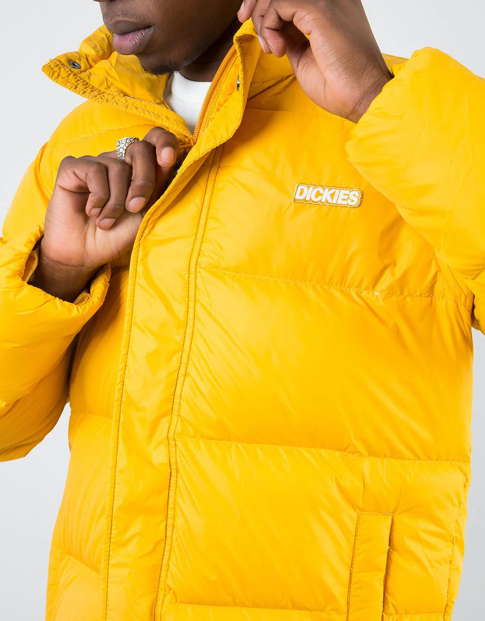 Dickies piumino Oakvale — archivio moda — IlBotteghino