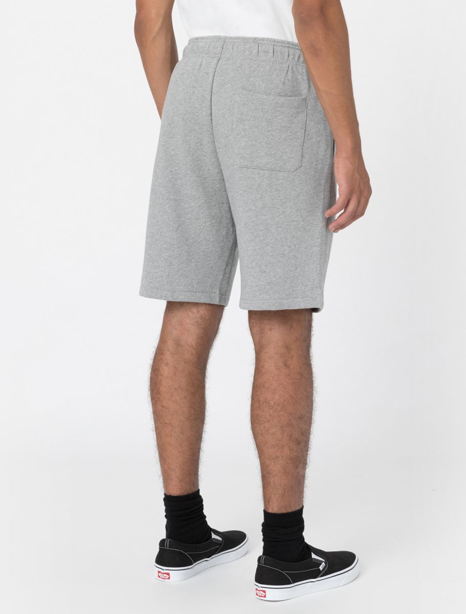Dickies short Mapleton grigio — archivio streetwear — IlBotteghino