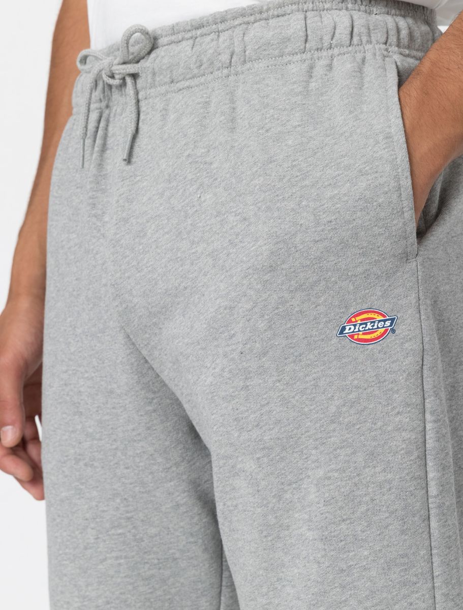 Dickies short Mapleton grigio — archivio moda streetwear — IlBotteghino