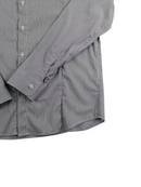 DANIELE ALESSANDRINI