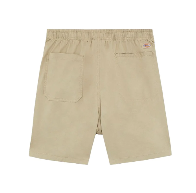Dickies short Pelican Rapids — streetwear d'archivio — IlBotteghino