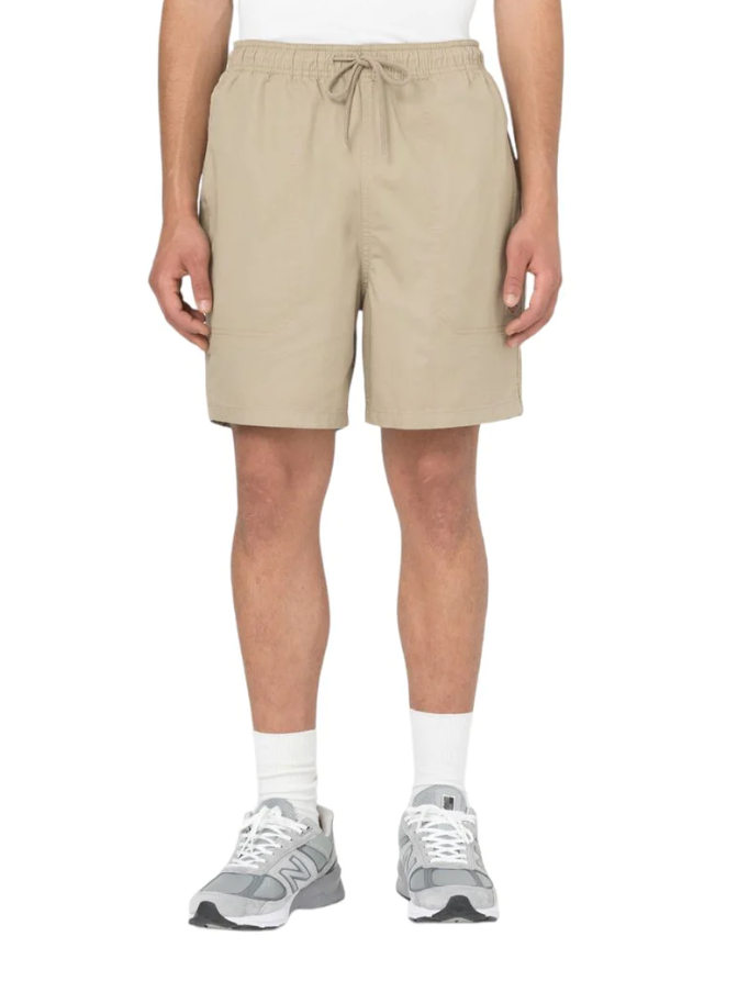 Dickies short Pelican Rapids — archivio moda streetwear — IlBotteghino