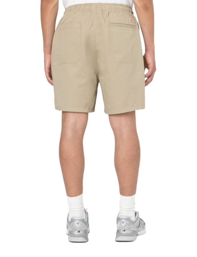 Dickies short Pelican Rapids — archivio streetwear — IlBotteghino