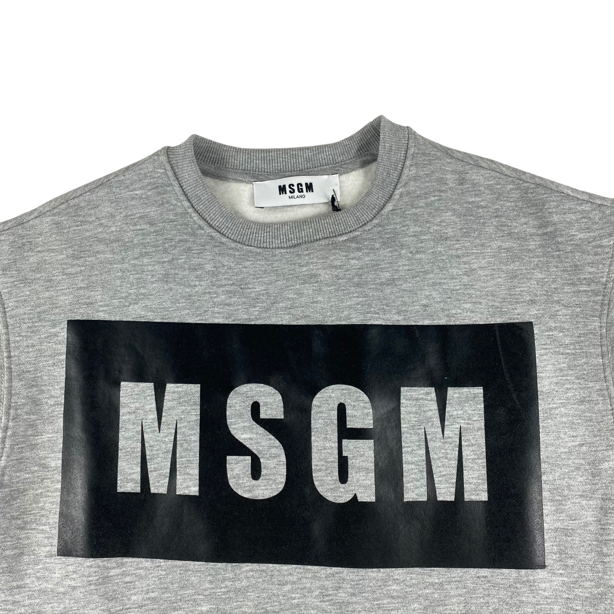 MSGM Milano felpa grigia logo nero — archivio moda — IlBotteghino